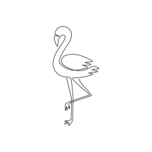 One Line Beautiful Flamingo Drawing: Learn Unique Bird Shapes with Simple Techniques