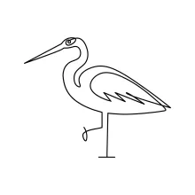 One Line Heron Drawing for Understanding Bird Form with Simple Drawing Techniques
