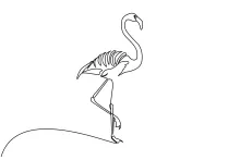 One Line Flamingo Drawing: Explore Animal Proportion with Simple Art for Beginners