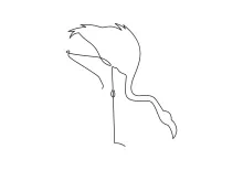 Learn to Draw a Flamingo in One Line: Easy Way to Practice Bird Form