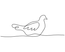 Simple One-Line Golden Pheasant Art: Train Observation Using Striking Bird Shapes