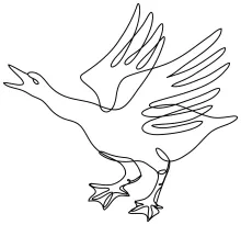 "Minimalist One Line Goose Drawing: A Dynamic Study of Aggressive Posture"