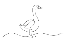 Draw a Goose in One Line: Practice Bird Body Shapes in a Simple Way