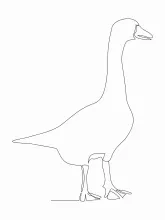One Line Goose Drawing: Practice Drawing Animal Body and Neck in One Simple Line