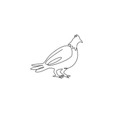 "Minimalist One Line Grouse Drawing: Capturing a Playful Forest Bird in Simple Art"