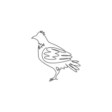 "Minimalist One Line Grouse Drawing: Capturing a Fast-Flushing Bird in Simple Art"