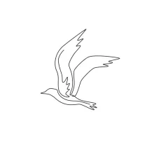 "Minimalist One Line Seagull Drawing: A Simple and Majestic Coastal Study"