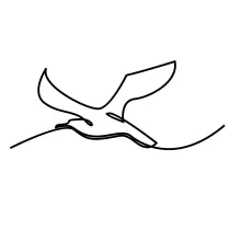 One-Line Flying Seagull Sketch: Develop Wing Curves and Flight Motion Simply