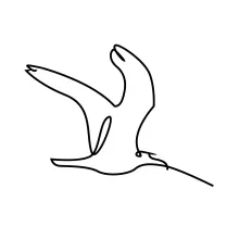 One-Line Seagull in Flight: Explore Shape and Space with a Minimal Drawing