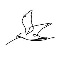Flying Seagull Line Art: Learn Simplicity and Movement Through One-Shape Drawing