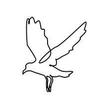 Simple One-Line Seagull Drawing: Train Focus Using Flight Form and Clean Shapes
