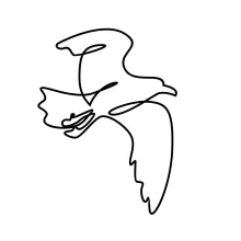 One-Line Flying Seagull Drawing: Improve Motion and Shape Awareness in Art Practice