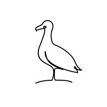 Easy Flying Seagull One-Line Sketch: Discover Wing Proportion and Direction