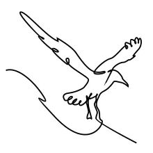 Flying Seagull One-Line Drawing: Practice Space and Shape Without Lifting the Pen