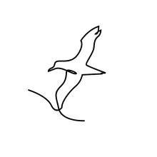 One-Line Seagull Flight Drawing: Develop Light Motion and Wing Shapes in Art