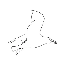 "Minimalist One-Line Seagull Drawing: Capturing Coastal Freedom in Simple Art"