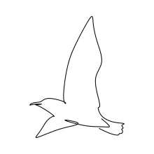 "One-Line Seagull Drawing: A Minimalist Study of Coastal Wildlife"