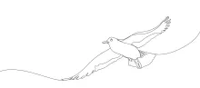 "One Line Seagull Art: A Minimalist Approach to Motion in Drawing"