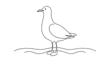 Seagull One Line Drawing: Practice Flying Bird Shapes with Simple, Easy Lines