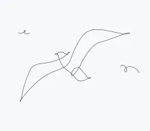 "One Line Seagull Sketch: A Simplified Approach to Capturing Coastal Bird Motion"