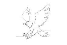 "One-Line Hawk Drawing: A Minimalist Study of a Powerful Bird of Prey"