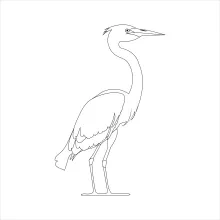 Easy One-Line Flying Heron Drawing for Understanding Balance and Movement