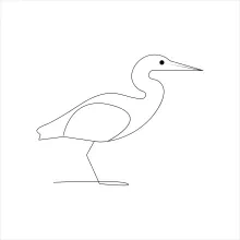 One-Line Drawing of Heron in Flight to Learn Proportions with Simplicity