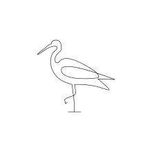 "Simple Line Drawing of a Heron: A Practical Approach to Minimalist Animal Art"