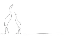 "Minimalist One-Line Heron Drawing: Capturing the Elegance of a Wading Bird Pair"
