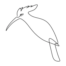 One-Line Drawing of a Perching Hoopoe Bird: Practice Distinctive Shapes in Simple Form