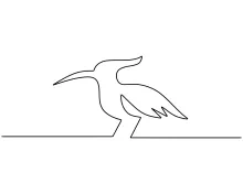 One-Line Hoopoe Drawing: Learn Unique Bird Features with a Simple Drawing Method