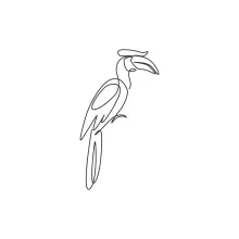Simple One Line Hornbill Drawing: Practice Big Bird Shapes with One Easy Line