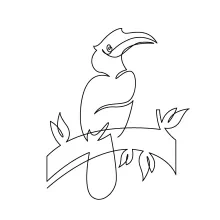 Hornbill One Line Drawing: Easy Bird Sketching for Practice and Shape Recognition