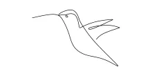 One-Line Drawing of a Flying Hummingbird: Practice Speed and Precision in Simple Art