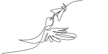 One-Line Flying Hummingbird Drawing: Practice Precision with Tiny Airborne Detail