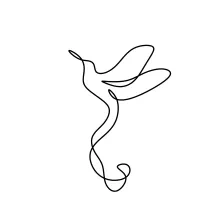 One Line Drawing of a Flying Hummingbird: Improve Focus with Light, Fast Forms