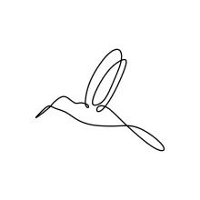 Quick Hummingbird One Line Drawing: Light and Simple Art for All Ages