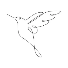 One Line Drawing of a Hummingbird: Build Drawing Skills with Minimal Shapes