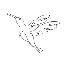 Fun Hummingbird One Line Sketch: Explore Tiny Bird Shapes in Simple Art