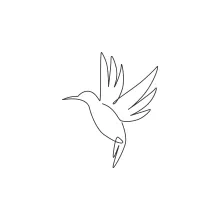 "One Line Hummingbird Drawing: A Minimalist Representation of Energy and Movement"