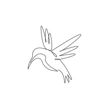 "One Line Hummingbird Drawing: A Minimalist Representation of Energy and Grace"