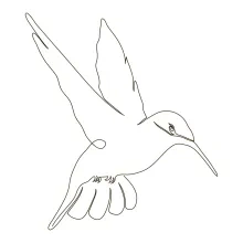 One-Line Hummingbird Sketch: Practice Quick Wing Motion and Delicate Forms