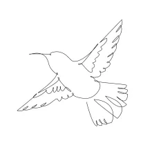"Minimalist One-Line Hummingbird Drawing: Capturing Energy and Motion in Simple Art"