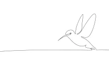 "Minimalist One-Line Hummingbird Drawing: Capturing Energy and Motion in Simple Art"