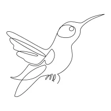 One Line Hummingbird Drawing for Quick Practice and Observation Skill Growth