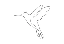 Draw a Hummingbird in One Line: Quick and Simple Art for Learning Bird Shapes