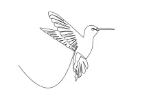 Realistic Hummingbird One Line Drawing: Easy Practice for Recognizing Fine Bird Shapes