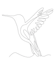 "Minimalist Hummingbird Sketch: A One Line Study of Tiny and Lively Bird Shapes"