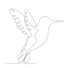 "Minimalist Hummingbird Drawing: A Single-Line Approach to Tiny and Energetic Forms"