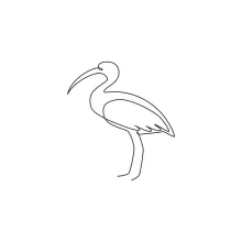 One Line Cute Ibis Drawing: Practice Wading Bird Shapes with Long Legs and Beak